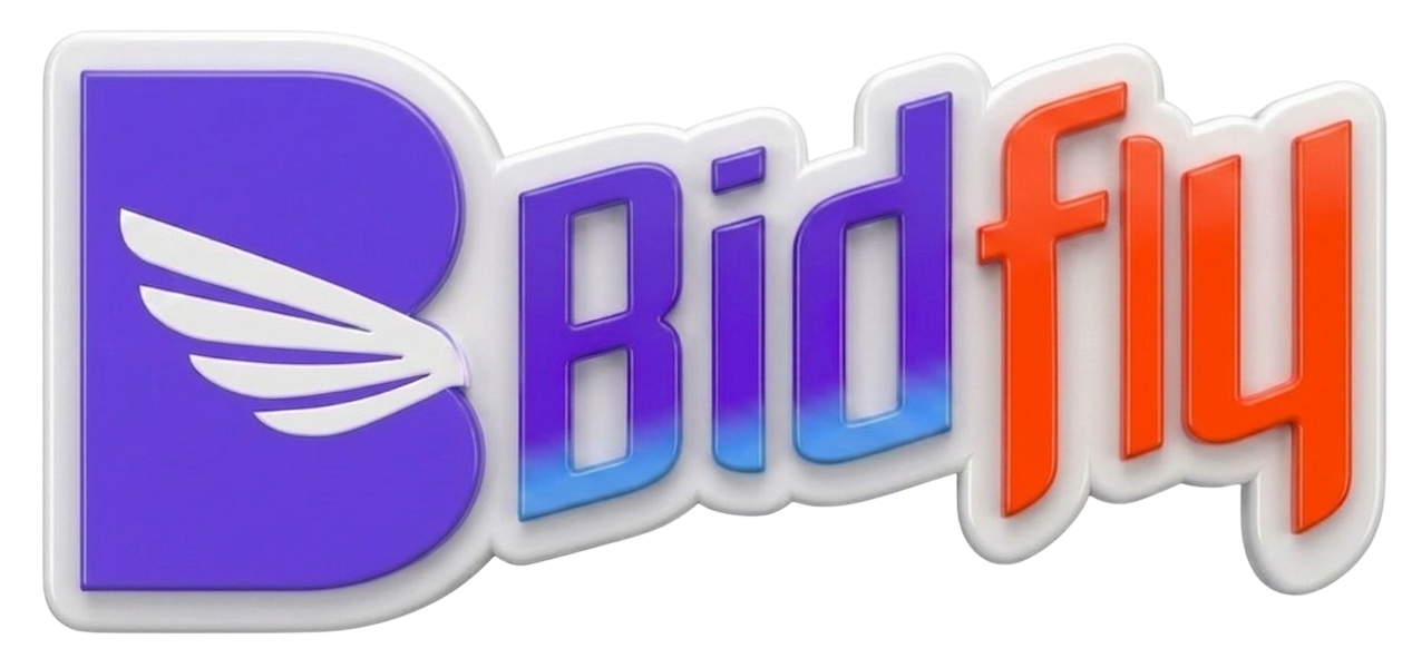 bidfly.fun